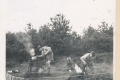 1956