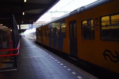 DSC00397