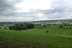DSC02709
