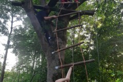 aanbrengen touwladder voor de boomhut