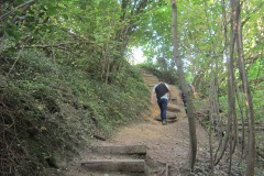 Trapje