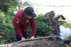 Ingebruikname ijsvogel nestkast