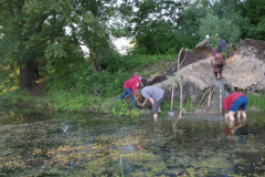 Project ijsvogel nestkast