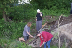 Project ijsvogel nestkast