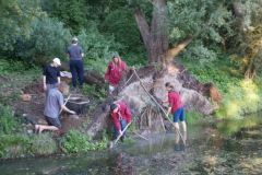 Project ijsvogel nestkast