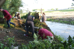 Project ijsvogel nestkast