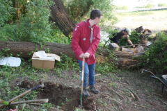 Project ijsvogel nestkast