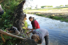 Project ijsvogel nestkast